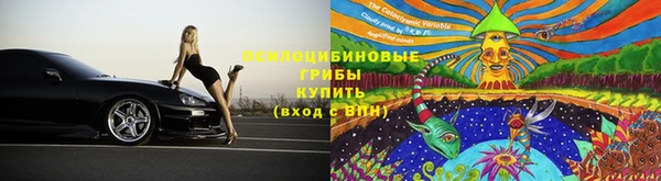 таблы Богданович