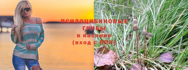 гидра Богородск